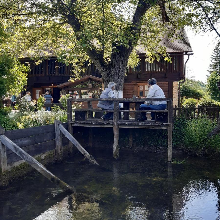 Guesthouse Pod Rastockim Krovom スルニュ エクステリア 写真